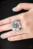 FLOWERBED and Breakfast - Silver Paparazzi